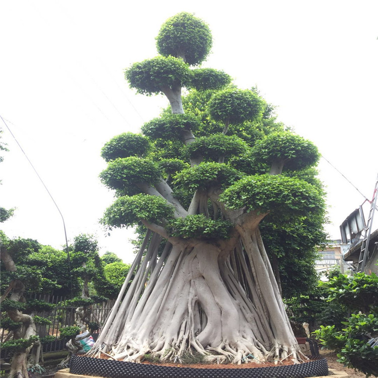 微信图片_20200525195003.jpg