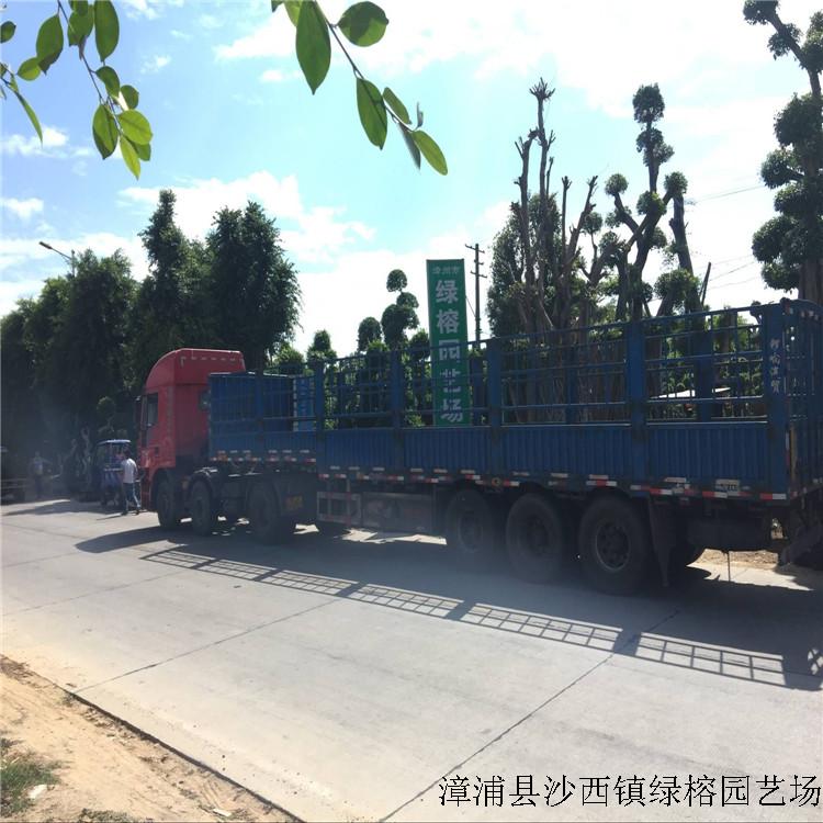 QQ图片20181028183752.jpg