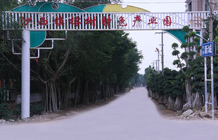 文章附图